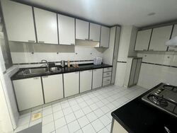 The Tanamera (D16), Condominium #500396031